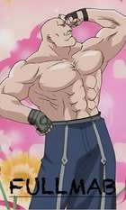 Fullmetal Alchemist: Brotherhood