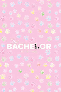 The Bachelor with Dogs and Scott Eastwood - Poster