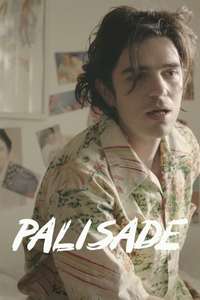 Palisade - Poster
