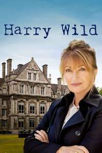 Harry Wild - Posters