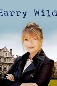 Harry Wild - Posters