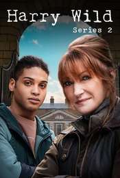 Harry Wild Season 2
