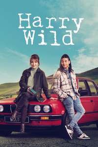 Harry Wild - Posters