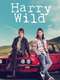 Harry Wild : Season 3