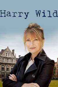 Harry Wild - Posters