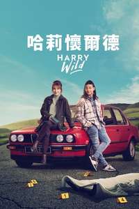 Harry Wild - Posters