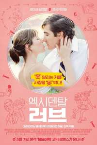 Accidental Love - Poster