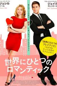 Accidental Love - Poster