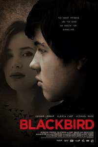 Blackbird - Poster