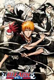 Bleach Season 1