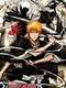 Bleach : Season 1