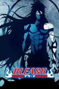 Bleach - Posters