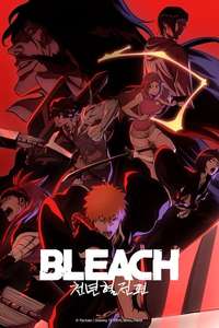 Bleach - Posters