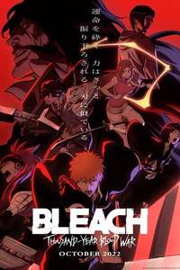 Bleach - Posters