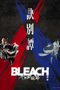 Bleach - Posters