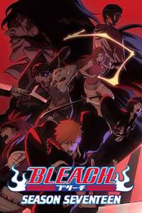 Bleach - Posters