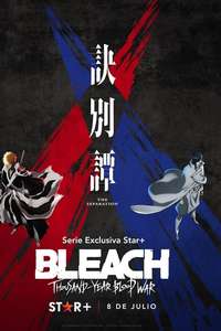 Bleach - Posters