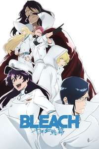 Bleach - Posters