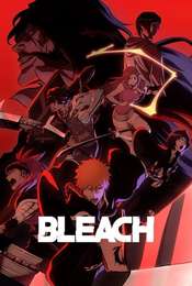 Bleach
