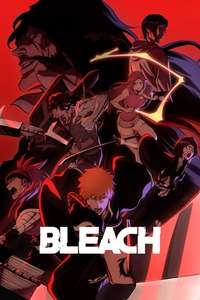 Bleach - Posters