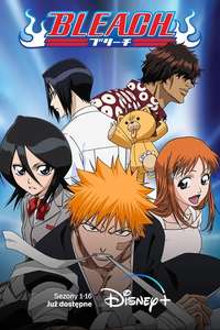 Bleach - Posters