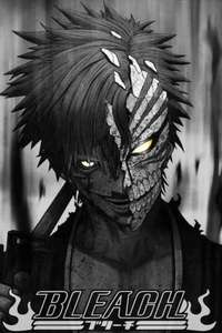 Bleach - Posters