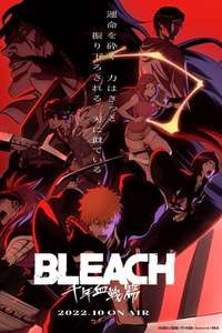 Bleach - Posters