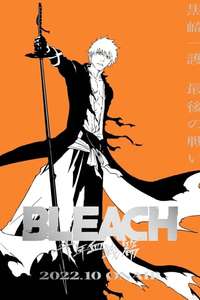 Bleach - Posters