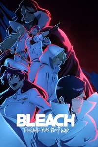 Bleach - Posters