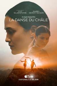 Fancy Dance - Posters