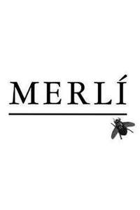 Merlí - Posters