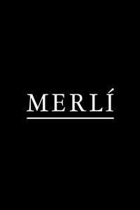 Merlí - Posters