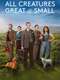 All Creatures Great & Small : Season 1