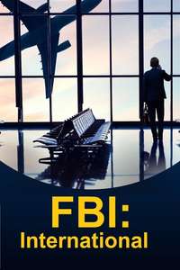 FBI: International - Posters