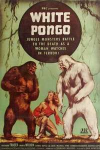 White Pongo - Posters