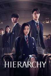 Hierarchy Limited Series