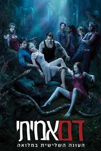 True Blood - Posters