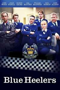 Blue Heelers - Poster