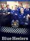 Blue Heelers