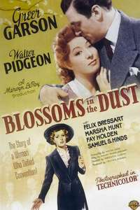 Blossoms in the Dust - Poster