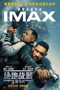 Bad Boys: Ride or Die - Posters