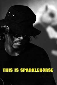 The Sad and Beautiful World of Sparklehorse - Poster