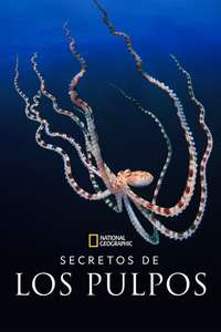 Secrets of the Octopus - Posters