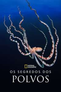 Secrets of the Octopus - Posters