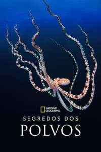 Secrets of the Octopus - Posters