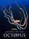 Secrets of the Octopus : Season 1