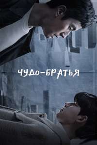 Miraculous Brothers - Posters