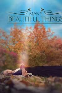 Many Beautiful Things - Poster
