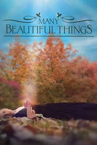 Many Beautiful Things - Poster