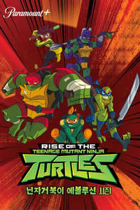 Rise of the Teenage Mutant Ninja Turtles - Posters